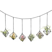Comprar Soportes Plantas De Aire Colgantes Soportes Airplants N...