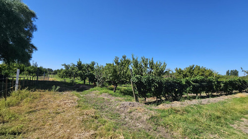 Finca De 3.7 Ha En Producción