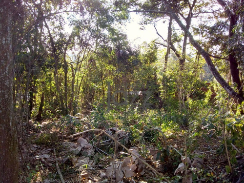 Imagem 4 de 11 de Terreno À Venda, 1060 M² Por R$ 120.000,00 - Vivendas Do Engenho D Água - Itatiba/sp - Te1550