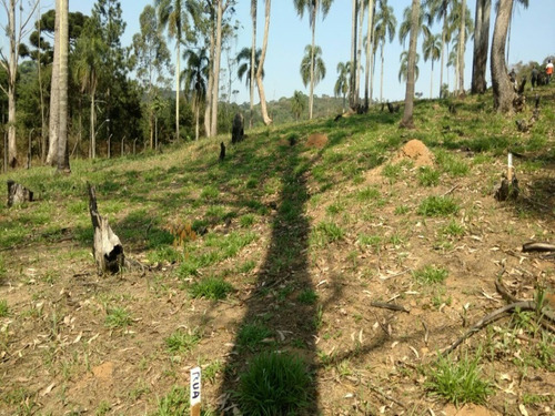 Imagem 7 de 16 de Terreno A Venda No Itaquaciara/mombaça - Te00009 - 32420434