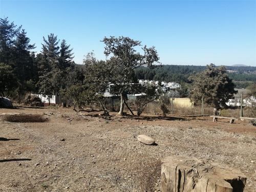 Sitio En Venta Sector Los Pinos, Semi Plano, Pasaje, Reñaca