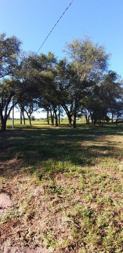 Imagen 7 de 15 de Santa Bárbara, Loteo íntimo, Colonia Benitez