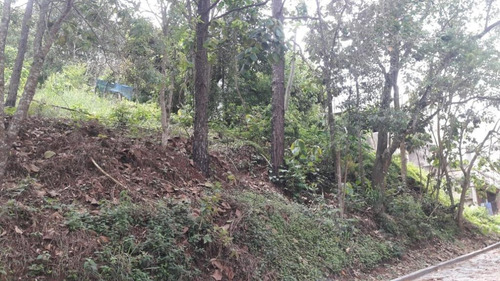 Imagem 21 de 21 de Terreno Em Parque Rizzo Ii, Cotia/sp De 1380m² À Venda Por R$ 160.000,00 - Te463143-s