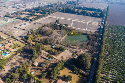 2parcelas Colindantes 5300 M2 C/u En Condominio Calera Tango