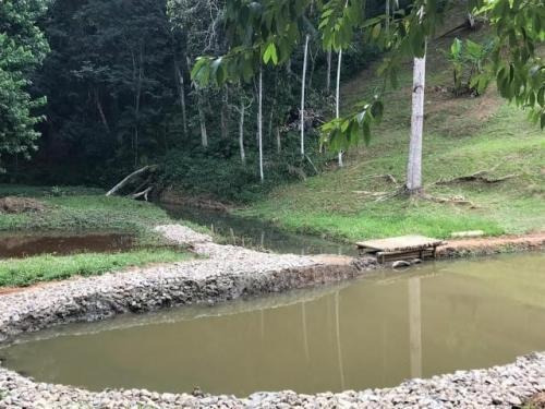 Imagem 9 de 14 de Chácara Com 4 Dormitórios, Piscina Em Pedro De Toledo 7721pc