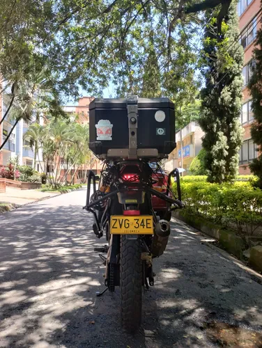 Royal Himalayan En Un Exce Estado Único Dueño De Agencia