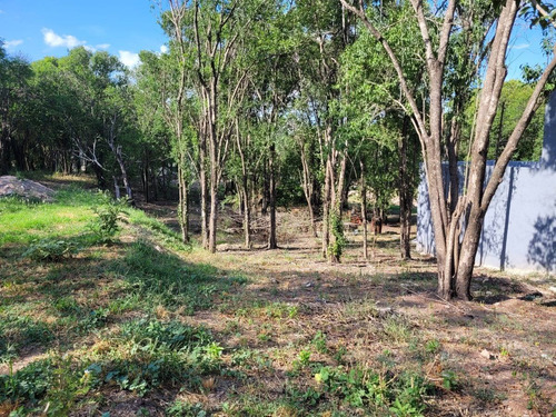Imagen 7 de 18 de Terreno En Venta, Villa Catalina, Escritura, Ruta E 53, Rio Ceballos, Seguridad