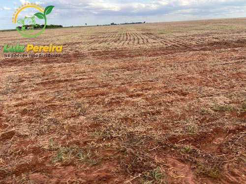 Imagem 13 de 14 de Fazenda À Venda Em Naviraí - Ms - De 149,17 Alqueires (em Lavoura De Soja) - 1678