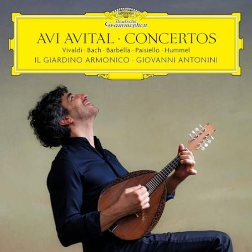 Avital Avi / Il Giardino Armonico / Antonini Concertos: V Cd