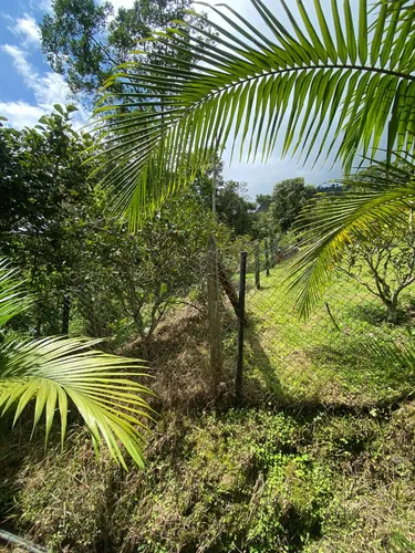 Lotes En Cachipay