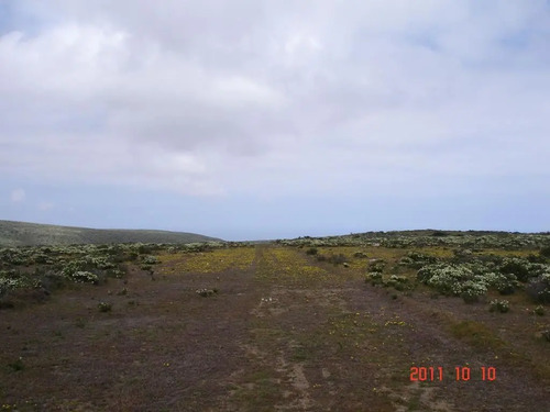 Parcela En Venta En Ovalle, Mirador De Talinay I