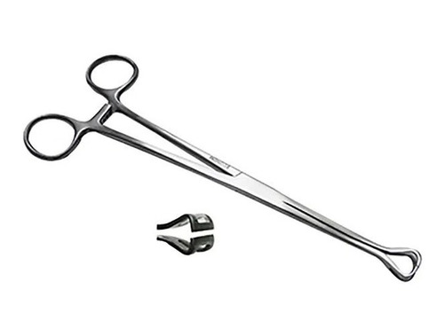 Pinza Babcock 23cm Económica Acero Hergom Silvery