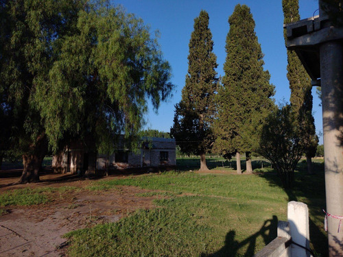 Imagen 9 de 13 de Vendo Finca San Rafael Goudge