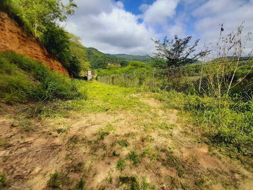 Imagen 27 de 30 de Terreno En Mampote Mls: 23-6747 (linda Sahhar)