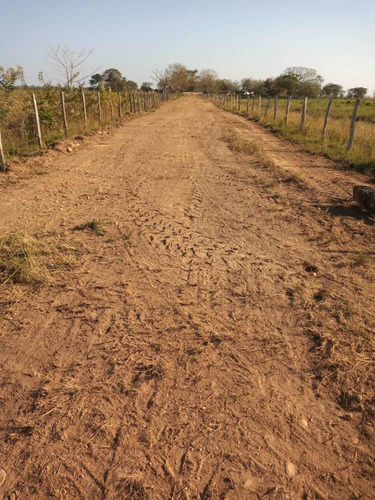 Imagen 2 de 16 de Aa Se Vende Finca Posada 200 Hectáreas Barinas Toreño