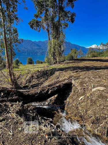 Parcela 5000 M2 Lago Riñihue Ribera Sur. Región Los Ríos