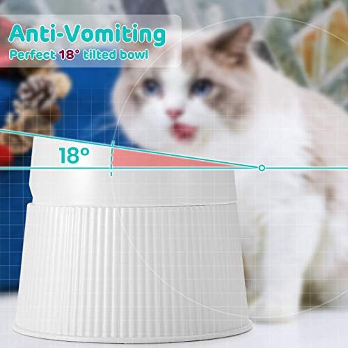 Ipettie Tazón Elevado Para Comida Para Gatos Plato Para Gato