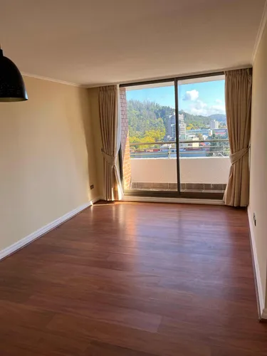 Amplio Departamento A Pasos De La U. De Concepción