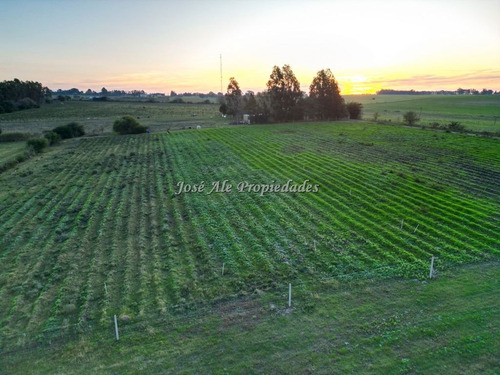 En Venta Chacra De 1 Ha Por Ruta 21, Colonia Del Sacramento