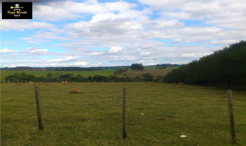 Imagem 13 de 14 de Chácara Com 2 Dormitórios À Venda, 20.000 M² Por R$ 370.000 Anísio De Moraes - Boituva/sp - Ch00060 - 33367554