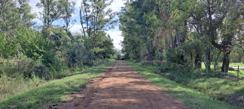 Venta 1/2hectarea  En Ex.  De La Cruz, Etchegoyen 