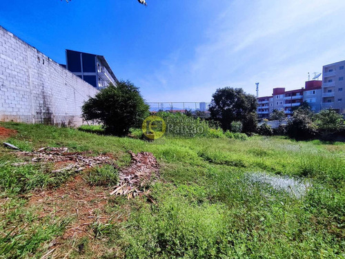 Imagem 14 de 19 de Área, Alto Ipiranga, Mogi Das Cruzes - R$ 5 Mi, Cod: 152001 - V152001