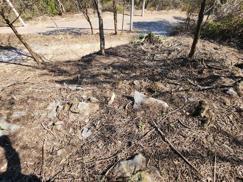 Venta Lote Iris I Muy Plano Y De Bonita Vista Además De Doble Frente En Doble Calle Con Proyecto Incluído En Fracc Rancho San Diego Ixtapan De La Sal Edomex