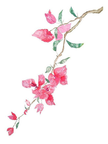 Cuadro 50x75cm Flores Watercolor Acuarela Flower Hermoso M2