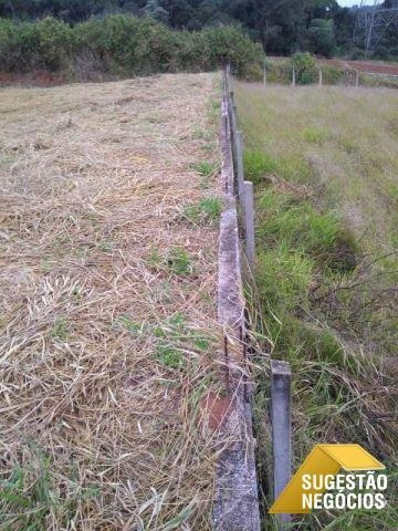 Imagem 5 de 15 de Terreno Vendo No Loteamento Tavares 250 M2 - 3132