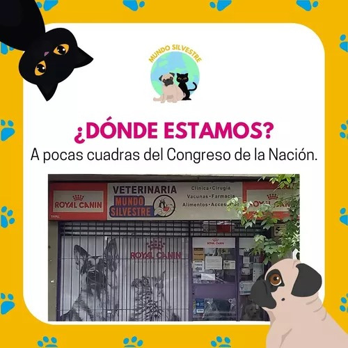Eukanuba Para Perro Adulto Raza Pequeña 7.5 Kg