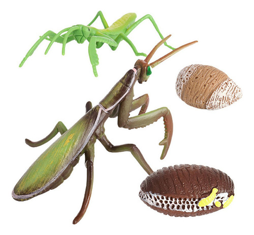 - Juego De Una Mantis Religiosa - 4 Piezas