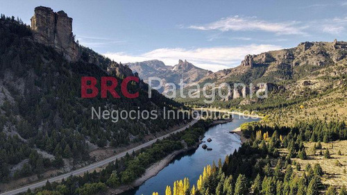 Campo - Ruta 237- Bariloche