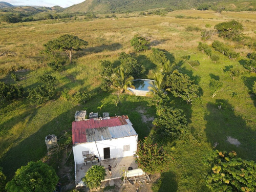 Imagen 22 de 24 de Granja En Venta Yaritagua 12 Hectareas Cod. 23-17577