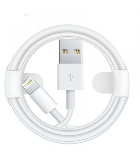 Cable De Carga Y Datos Para Apple iPhone iPad iPod Lightning