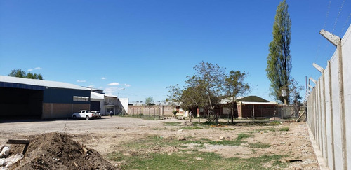 Imagen 16 de 30 de Alquilo Predio 6500 M2 Galpón 1900 M2 300 M2 Oficin Neuquen