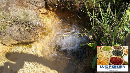 Imagem 5 de 7 de Fazenda À Venda Em Campo Grande - Ms - De 1.065 Hectares (pecuária) - 1658