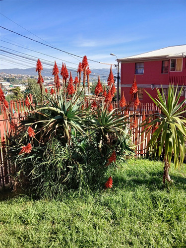 Departamento En Arriendo De 2 Dorm. Roizbatt Cerro Placeres