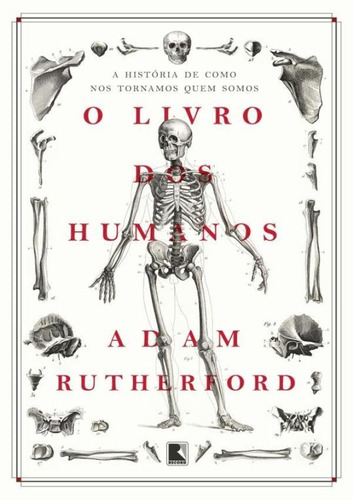 O Livro Dos Humanos