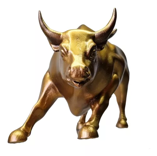 Visão  O pequeno investidor está a domar o touro?