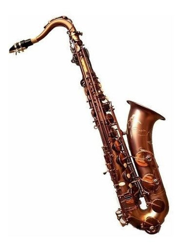 Saxo Tenor Renaissence Parquer+estuche+kit Limpieza Cuota