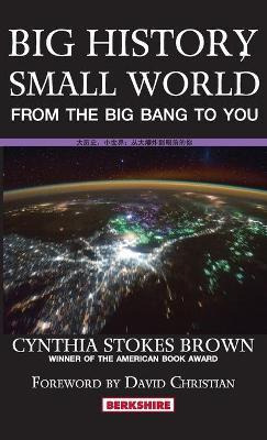 Libro Big History, Small World : From The Big Bang To You...