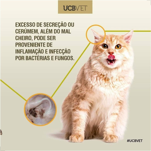 Inflamação No Ouvido Do Cachorro Como Tratar Otolin 15ml