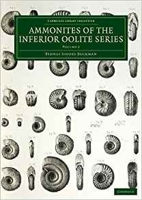 A Monograph Of The Ammonites Of The Inferior Oolite Series (