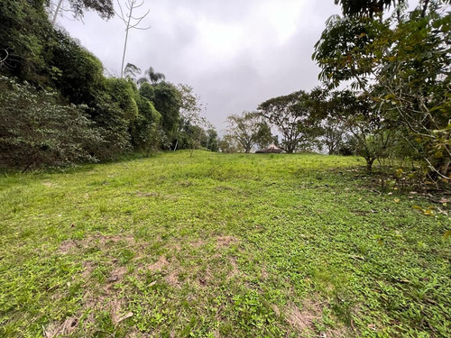 Lindo Terreno Com 2.071m² No Centro De Massaranduba