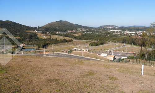 Imagem 2 de 15 de Terreno - Vila Nova - Ref: 203678 - V-203678