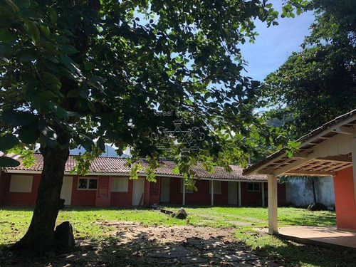 Area - Enseada - Ref: 230 - V-230
