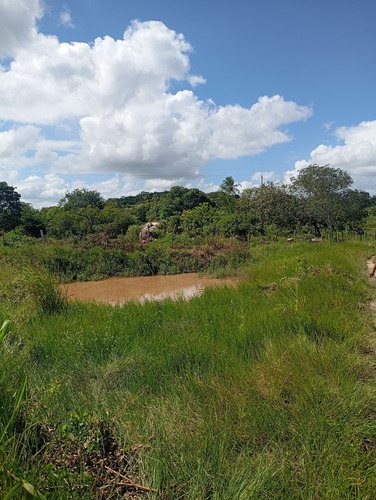 Terreno 10.000 M2 ( Aproximadamente), Sítio Carnaúba - Pedro Régis/pb