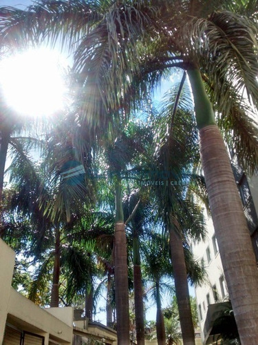 Imagem 3 de 30 de Casas Para Alugar Em Campinas, Casa Para Alugar Em Campinas, Chacaras Para Alugar Em Campinas, Chacara Para Alugar Em Campinas, Apartamentos Para Alug - Ap00609 - 2920459