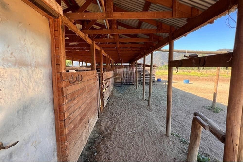 Sitio En Venta En Paine