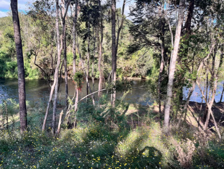 Preciosa Parcela Con 90 Metros De Orilla De Río